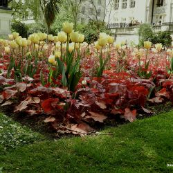 Colores de otoño