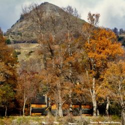 Colores de otoño