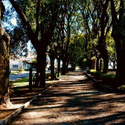 Rincones de San Pedro IV